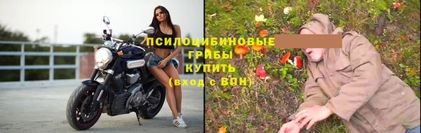 ПСИЛОЦИБИНОВЫЕ ГРИБЫ Абинск