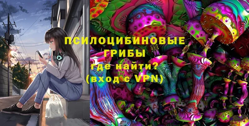 Галлюциногенные грибы Magic Shrooms  Алагир 